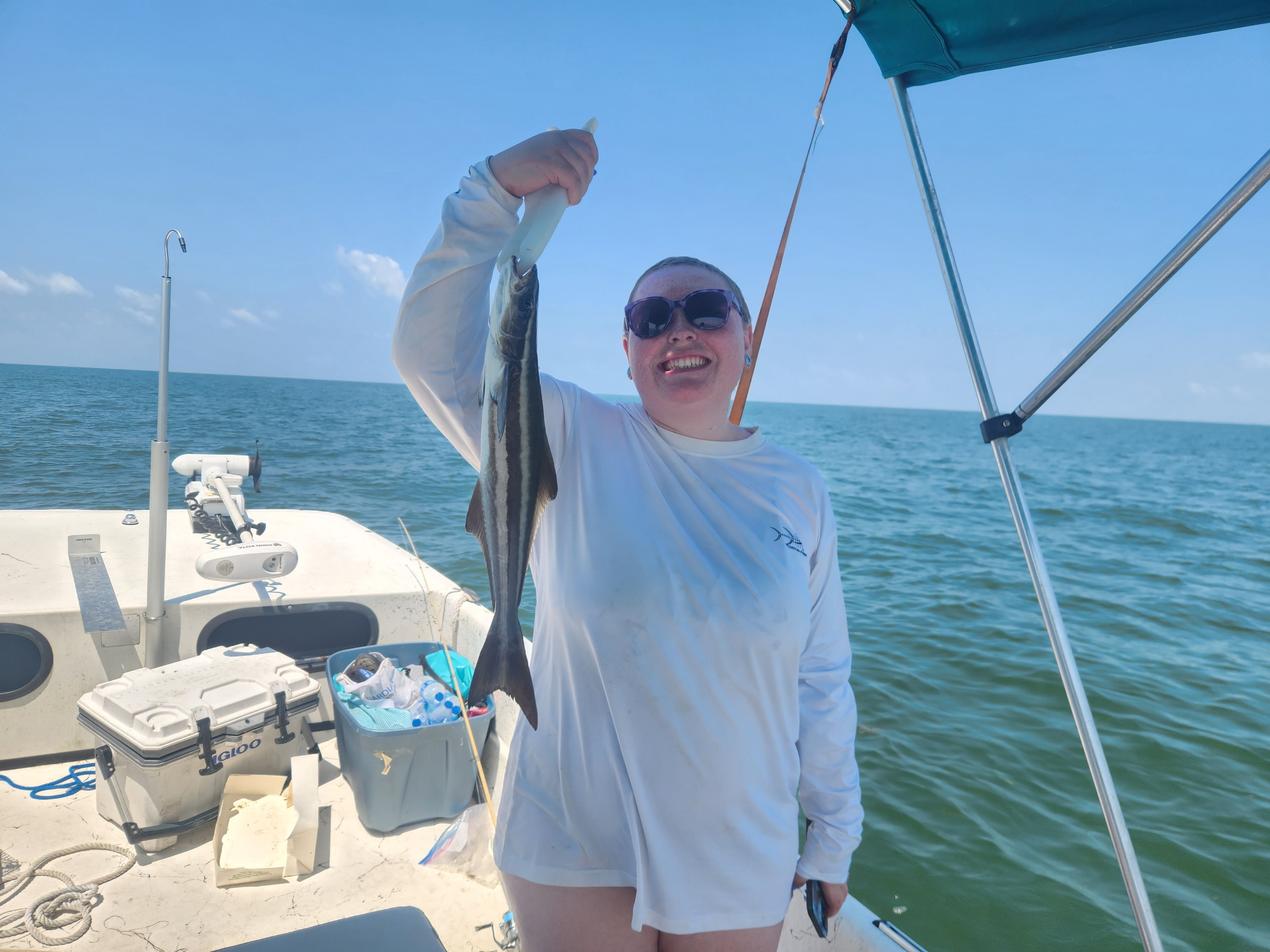 Black drum catch Florida inshore fishing